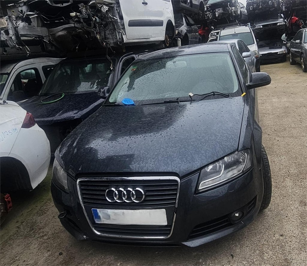 Foto 1 AUDI A3 1.9TDI 2009